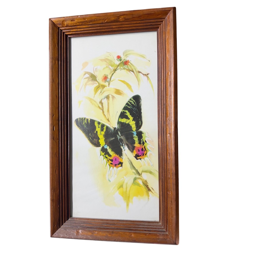 Vintage Butterfly Wall Art Framed Watercolor Style Nature Print Wood Frame - Picture 1 of 3